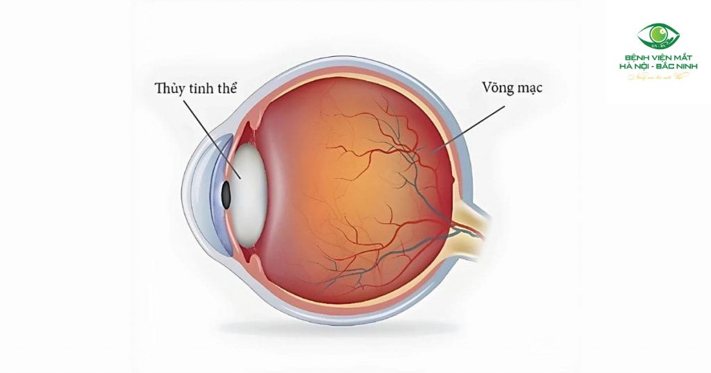 Công nghệ phân bổ ánh sáng cho nhiều tiêu cự
